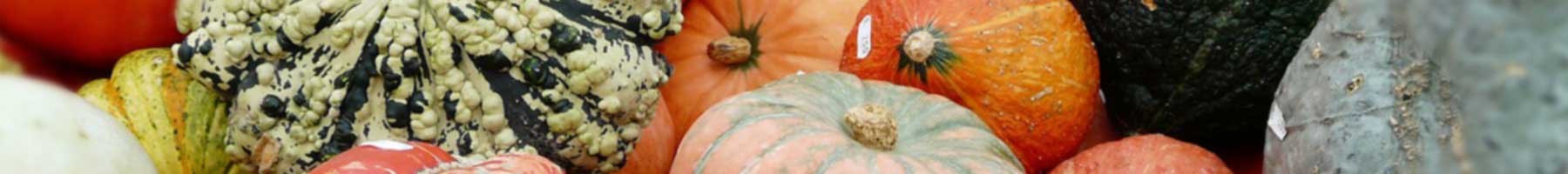 Orange and speckled gourds
