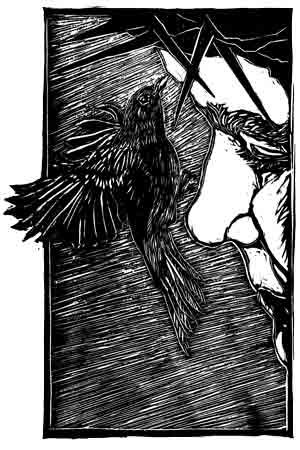 A woodcut by Lisa Toth depicting a robin next to a human face to illustrate the Easter story Robin Redbreast.