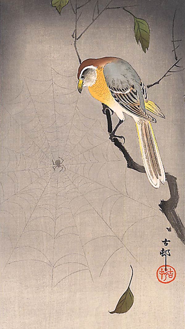 Japanese art of a bird and a spiderweb