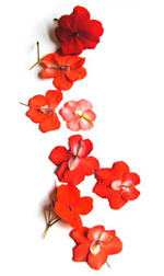 red geranium petals