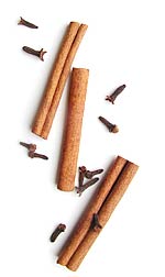 tree cinnamon sticks with cloves