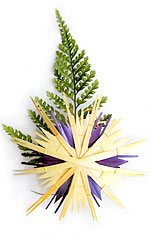 a small pine branch with a star made of straw
