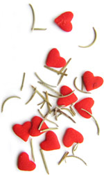 candy hearts and rosemary herb