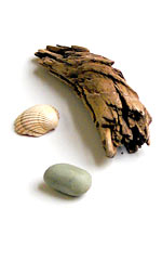 pebbles and driftwood