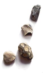 seashore pebbles