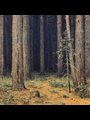 painting of trees in a dark forest