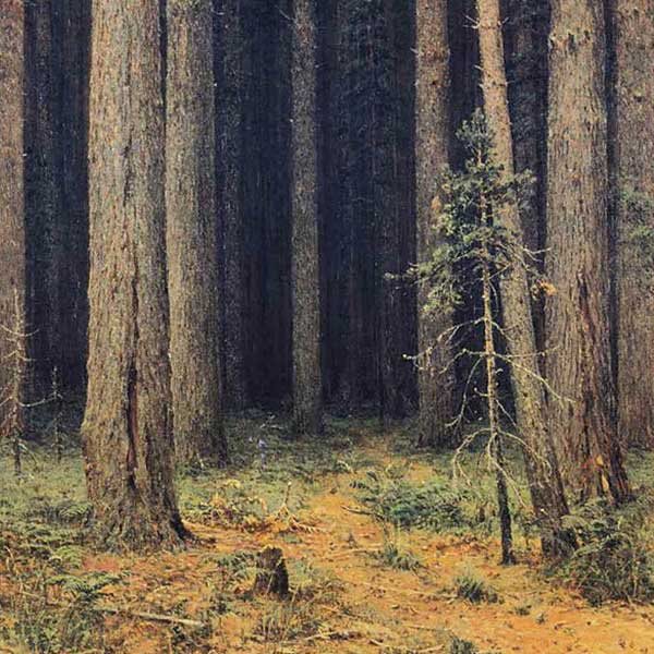 painting of trees in a dark forest