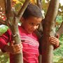 boy climbing tree