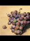 a painting of a bunch of red grapes