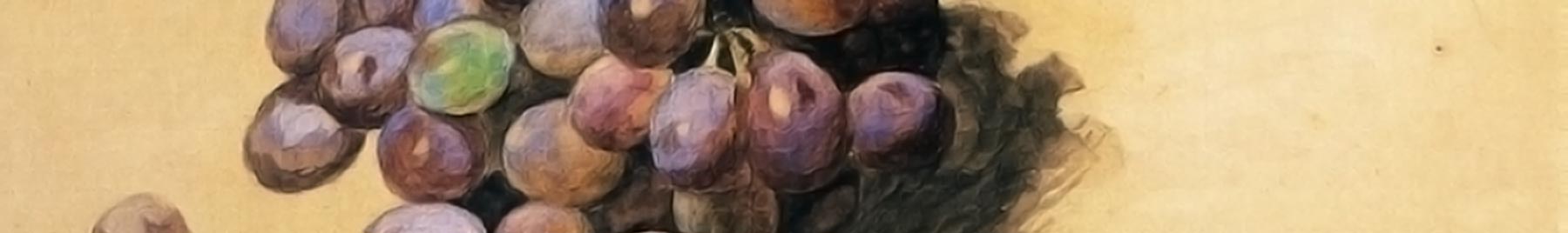 William Merritt Chase, detail, “Topaz Grapes”