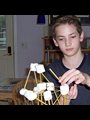A home-schooled boy building a structure with marshmallows and sticks.