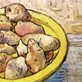 still life of a bowl of potatoes