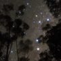 A photograph of the Southern Cross constellation.