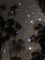 A photograph of the Southern Cross constellation.