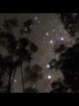 A photograph of the Southern Cross constellation.
