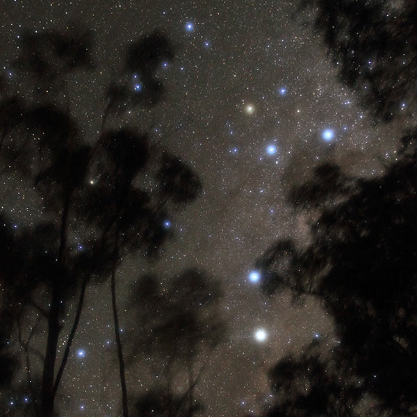 A photograph of the Southern Cross constellation.