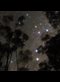 A photograph of the Southern Cross constellation.
