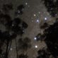 A photograph of the Southern Cross constellation.