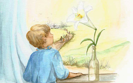 Peter gazes at the lily on the windowsill.