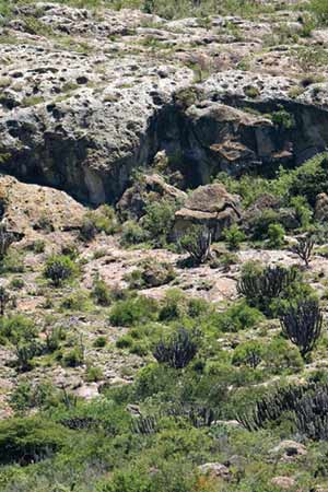 Wikimedia photo of caves in the Tlacolula valley, Mexico.