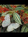 Detail from a painting by Marianne North, Trees Laden with Parasites and Epiphytes in a Brazilian Garden.