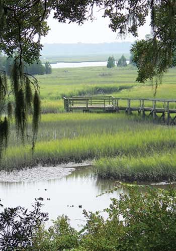 The Dixie Plantation property along the Stono River includes brackish, saltwater, and fresh-water ponds as well as wetlands and tidal marshes.