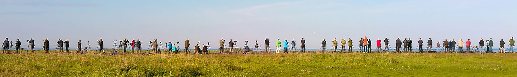 a line of birders with spotting scopes