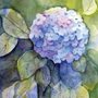 painting of hydrangeas