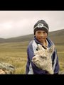 photo of boy with goat