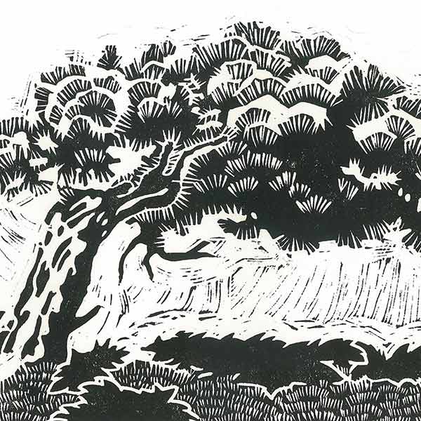 Detail from a Japanese-style block print of a windswept tree.