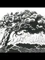 Detail from a Japanese-style block print of a windswept tree.