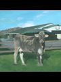 painting of a cow
