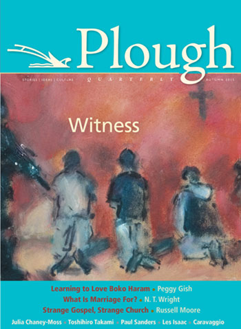 red and aqua cover for plough quarterly
