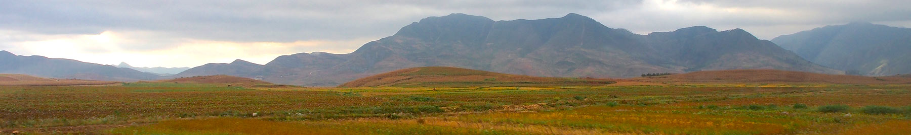 The demilitarized zone separating North and South Korea.