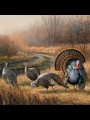 painting of turkeys