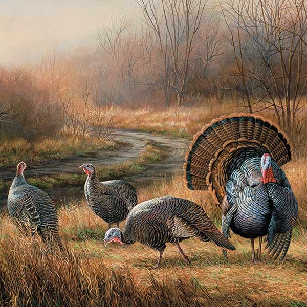 painting of turkeys