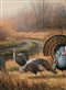 painting of turkeys
