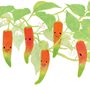peppers