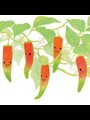 peppers