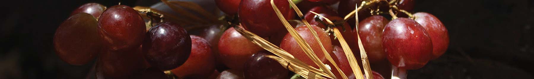picture of red grapes