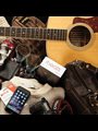guitar, phone, glove, camera