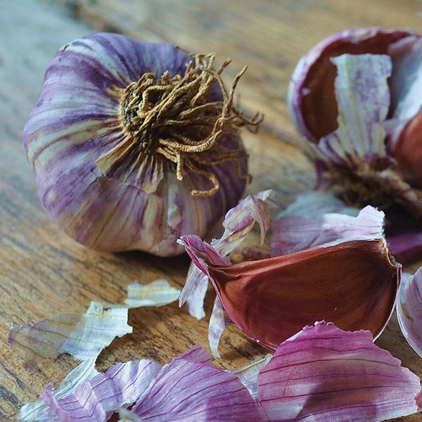 Purple garlic on a wooden cutting board