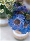 blue poppies and white daisies in pottery vases
