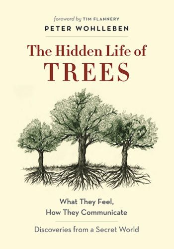 The Hidden Life of Trees by Peter Wohlleben