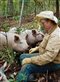 Joel Salatin and pigs in the woods