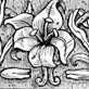 drawing of a lily