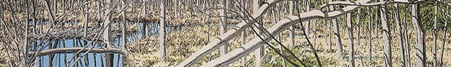 Detail from painting Sky in Cora’s Marsh by Neil Welliver, depicting a marshy area with a stand of young trees.