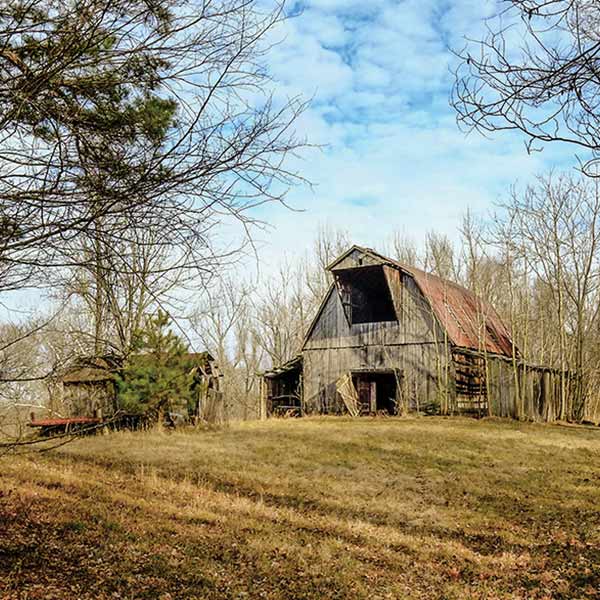 a barn in an autumn woods
