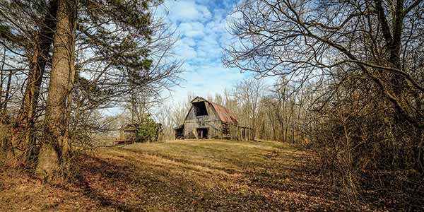 photo of a barn in the woods