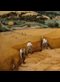 vintage painting of people harvesting wheat